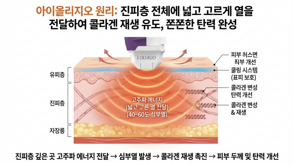 눈가 피부 밀도 복구
