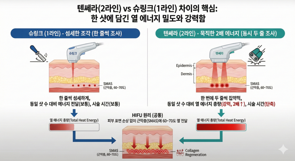텐쎄라 슈링크 차이